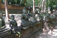 1341_Chiang-Mai_Wat-Umong-Suan-Phutthatham