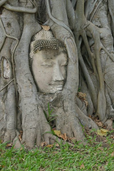 2186_Bangkok_Ayutthaya_Wat-Mahathat-scaled
